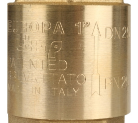 Клапан обратный пружинный муфтовый с металлическим седлом EUROPA 100 1 Itap в Саратове 7