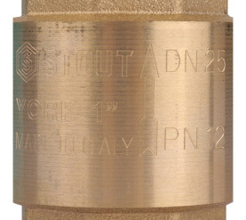 Клапан обратный пружинный муфтовый с пластиковым седлом 1 STOUT SVC-0012-000025 в Саратове 3
