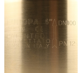 Клапан обратный пружинный муфтовый с металлическим седлом EUROPA 100 4 Itap в Саратове 7