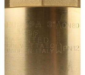Клапан обратный пружинный муфтовый с металлическим седлом EUROPA 100 3 Itap в Саратове 7