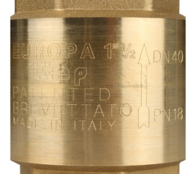 Клапан обратный пружинный муфтовый с металлическим седлом EUROPA 100 1 1/2 Itap в Саратове 7