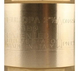Клапан обратный пружинный муфтовый с металлическим седлом EUROPA 100 2 1/2 Itap в Саратове 7